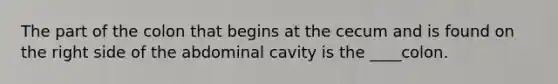 The part of the colon that begins at the cecum and is found on the right side of the abdominal cavity is the ____colon.