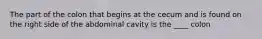 The part of the colon that begins at the cecum and is found on the right side of the abdominal cavity is the ____ colon