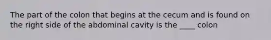 The part of the colon that begins at the cecum and is found on the right side of the abdominal cavity is the ____ colon