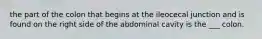the part of the colon that begins at the ileocecal junction and is found on the right side of the abdominal cavity is the ___ colon.