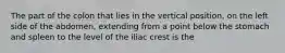 The part of the colon that lies in the vertical position, on the left side of the abdomen, extending from a point below the stomach and spleen to the level of the iliac crest is the