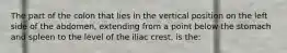 The part of the colon that lies in the vertical position on the left side of the abdomen, extending from a point below the stomach and spleen to the level of the iliac crest, is the: