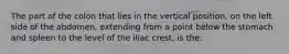 The part of the colon that lies in the vertical position, on the left side of the abdomen, extending from a point below the stomach and spleen to the level of the iliac crest, is the: