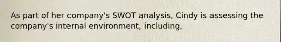 As part of her company's SWOT analysis, Cindy is assessing the company's internal environment, including,