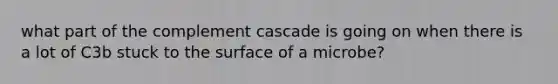 what part of the complement cascade is going on when there is a lot of C3b stuck to the surface of a microbe?