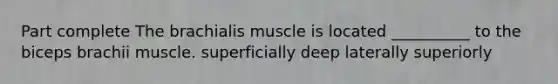 Part complete The brachialis muscle is located __________ to the biceps brachii muscle. superficially deep laterally superiorly