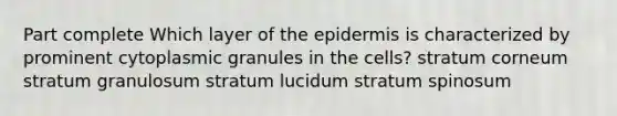 Part complete Which layer of the epidermis is characterized by prominent cytoplasmic granules in the cells? stratum corneum stratum granulosum stratum lucidum stratum spinosum