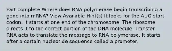 Part complete Where does RNA polymerase begin transcribing a gene into mRNA? View Available Hint(s) It looks for the AUG start codon. It starts at one end of the chromosome. The ribosome directs it to the correct portion of the DNA molecule. Transfer RNA acts to translate the message to RNA polymerase. It starts after a certain nucleotide sequence called a promoter.