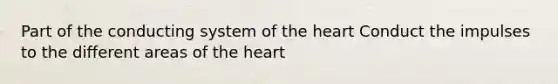 Part of the conducting system of the heart Conduct the impulses to the different areas of the heart