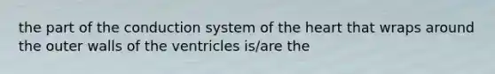 the part of the conduction system of the heart that wraps around the outer walls of the ventricles is/are the