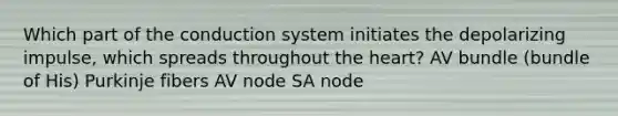 Which part of the conduction system initiates the depolarizing impulse, which spreads throughout the heart? AV bundle (bundle of His) Purkinje fibers AV node SA node