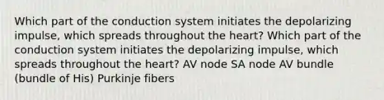 Which part of the conduction system initiates the depolarizing impulse, which spreads throughout the heart? Which part of the conduction system initiates the depolarizing impulse, which spreads throughout the heart? AV node SA node AV bundle (bundle of His) Purkinje fibers