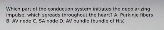 Which part of the conduction system initiates the depolarizing impulse, which spreads throughout the heart? A. Purkinje fibers B. AV node C. SA node D. AV bundle (bundle of His)