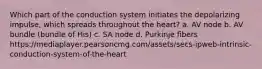 Which part of the conduction system initiates the depolarizing impulse, which spreads throughout the heart? a. AV node b. AV bundle (bundle of His) c. SA node d. Purkinje fibers https://mediaplayer.pearsoncmg.com/assets/secs-ipweb-intrinsic-conduction-system-of-the-heart