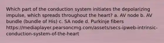 Which part of the conduction system initiates the depolarizing impulse, which spreads throughout <a href='https://www.questionai.com/knowledge/kya8ocqc6o-the-heart' class='anchor-knowledge'>the heart</a>? a. AV node b. AV bundle (bundle of His) c. SA node d. Purkinje fibers https://mediaplayer.pearsoncmg.com/assets/secs-ipweb-intrinsic-conduction-system-of-the-heart