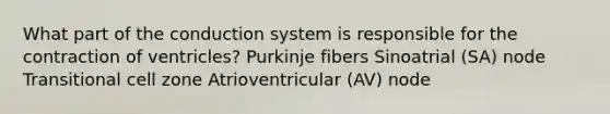 What part of the conduction system is responsible for the contraction of ventricles? Purkinje fibers Sinoatrial (SA) node Transitional cell zone Atrioventricular (AV) node