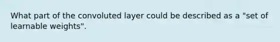 What part of the convoluted layer could be described as a "set of learnable weights".