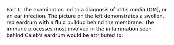 Part C.The examination led to a diagnosis of otitis media (OM), or an ear infection. The picture on the left demonstrates a swollen, red eardrum with a fluid buildup behind the membrane. The immune processes most involved in the inflammation seen behind Caleb's eardrum would be attributed to: