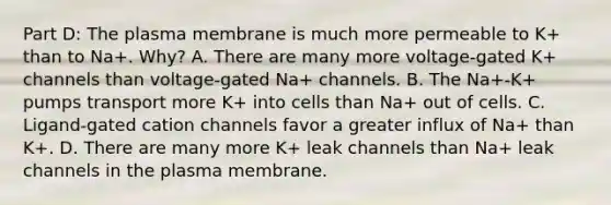 Part D: The plasma membrane is much more permeable to K+ than to Na+. Why? A. There are many more voltage-gated K+ channels than voltage-gated Na+ channels. B. The Na+-K+ pumps transport more K+ into cells than Na+ out of cells. C. Ligand-gated cation channels favor a greater influx of Na+ than K+. D. There are many more K+ leak channels than Na+ leak channels in the plasma membrane.