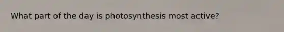 What part of the day is photosynthesis most active?