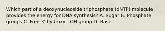 Which part of a deoxynucleoside triphosphate (dNTP) molecule provides the energy for DNA synthesis? A. Sugar B. Phosphate groups C. Free 3' hydroxyl -OH group D. Base