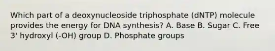 Which part of a deoxynucleoside triphosphate (dNTP) molecule provides the energy for DNA synthesis? A. Base B. Sugar C. Free 3' hydroxyl (-OH) group D. Phosphate groups