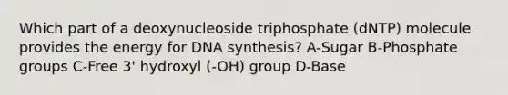 Which part of a deoxynucleoside triphosphate (dNTP) molecule provides the energy for DNA synthesis? A-Sugar B-Phosphate groups C-Free 3' hydroxyl (-OH) group D-Base