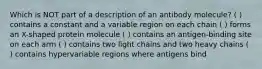 Which is NOT part of a description of an antibody molecule? ( ) contains a constant and a variable region on each chain ( ) forms an X-shaped protein molecule ( ) contains an antigen-binding site on each arm ( ) contains two light chains and two heavy chains ( ) contains hypervariable regions where antigens bind