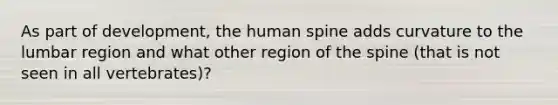 As part of development, the human spine adds curvature to the lumbar region and what other region of the spine (that is not seen in all vertebrates)?