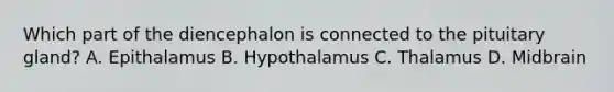 Which part of the diencephalon is connected to the pituitary gland? A. Epithalamus B. Hypothalamus C. Thalamus D. Midbrain