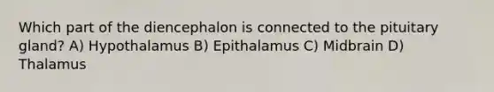 Which part of the diencephalon is connected to the pituitary gland? A) Hypothalamus B) Epithalamus C) Midbrain D) Thalamus