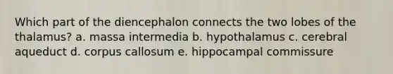 Which part of the diencephalon connects the two lobes of the thalamus? a. massa intermedia b. hypothalamus c. cerebral aqueduct d. corpus callosum e. hippocampal commissure