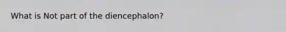 What is Not part of the diencephalon?