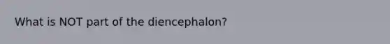 What is NOT part of the diencephalon?