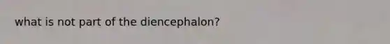 what is not part of the diencephalon?