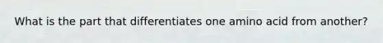 What is the part that differentiates one amino acid from another?