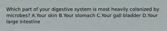 Which part of your digestive system is most heavily colonized by microbes? A.Your skin B.Your stomach C.Your gall bladder D.Your large intestine