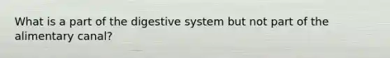 What is a part of the digestive system but not part of the alimentary canal?