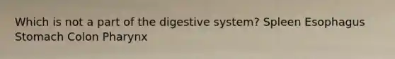 Which is not a part of the digestive system? Spleen Esophagus Stomach Colon Pharynx