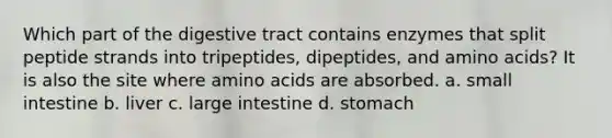 Which part of the digestive tract contains enzymes that split peptide strands into tripeptides, dipeptides, and amino acids? It is also the site where amino acids are absorbed. a. small intestine b. liver c. large intestine d. stomach