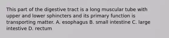 This part of the digestive tract is a long muscular tube with upper and lower sphincters and its primary function is transporting matter. A. esophagus B. small intestine C. large intestive D. rectum