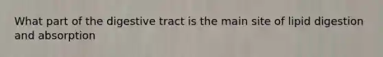 What part of the digestive tract is the main site of lipid digestion and absorption