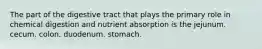 The part of the digestive tract that plays the primary role in chemical digestion and nutrient absorption is the jejunum. cecum. colon. duodenum. stomach.