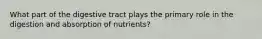 What part of the digestive tract plays the primary role in the digestion and absorption of nutrients?