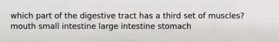 which part of the digestive tract has a third set of muscles? mouth small intestine large intestine stomach