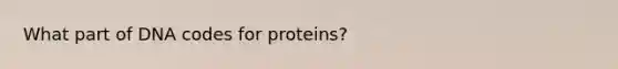 What part of DNA codes for proteins?