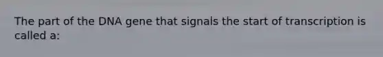 The part of the DNA gene that signals the start of transcription is called a: