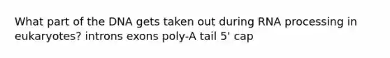 What part of the DNA gets taken out during RNA processing in eukaryotes? introns exons poly-A tail 5' cap