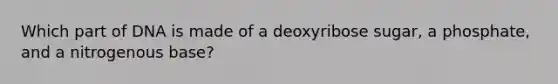 Which part of DNA is made of a deoxyribose sugar, a phosphate, and a nitrogenous base?