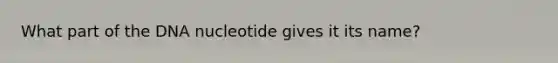 What part of the DNA nucleotide gives it its name?